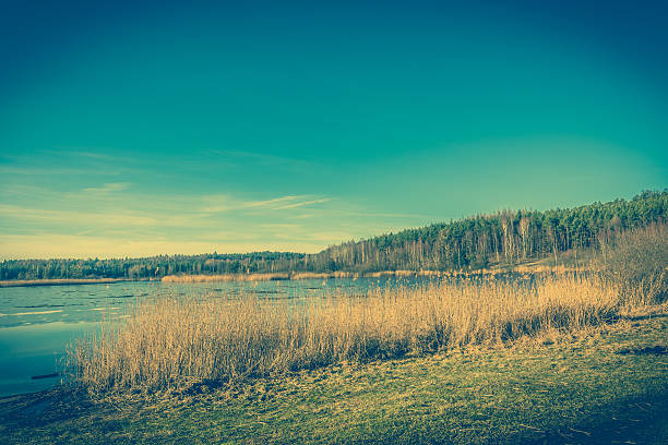 istock Vintage lake landscape with ice melting  on water 638902912