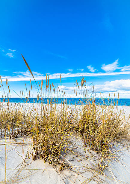 Danish Dunes and horizon over water