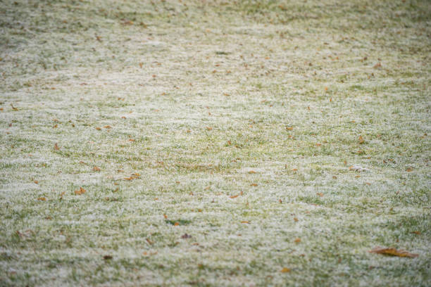 istock Frozen ground on the meadow with light ice 638903850