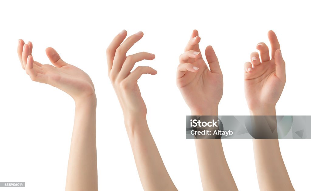 Hands set , isolated Hands set with clipping path Women Stock Photo