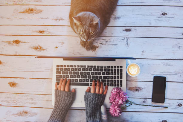 istock Girl with a cat working at home. 638906114