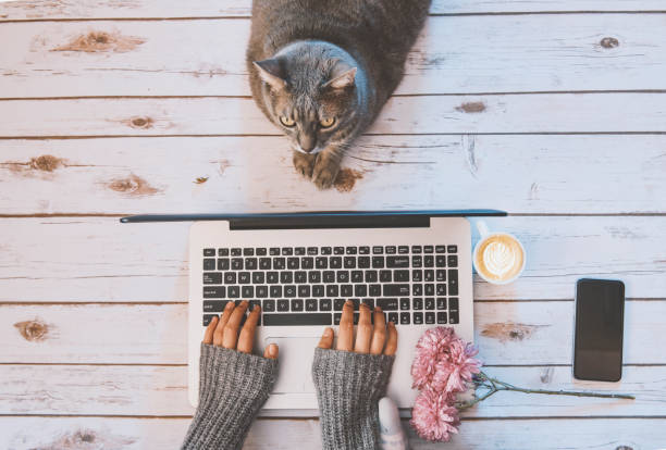 istock Girl with a cat working at home. 638906466