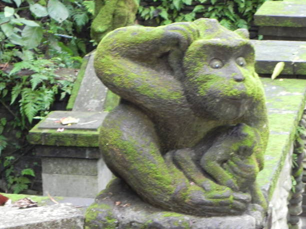 istock Ape of stone 638907296