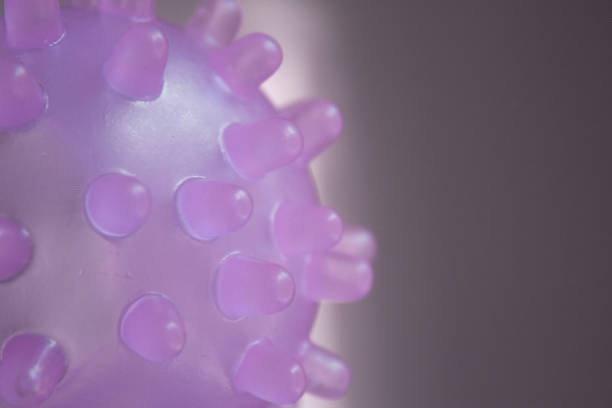 istock Vibrator sex toy for 638910026