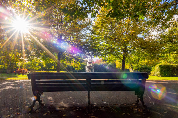 istock Autumn in Regents Park 638914920