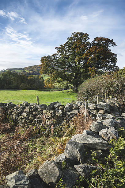 istock Stunning Autumn Fall landscape image of wide countryside 638915920