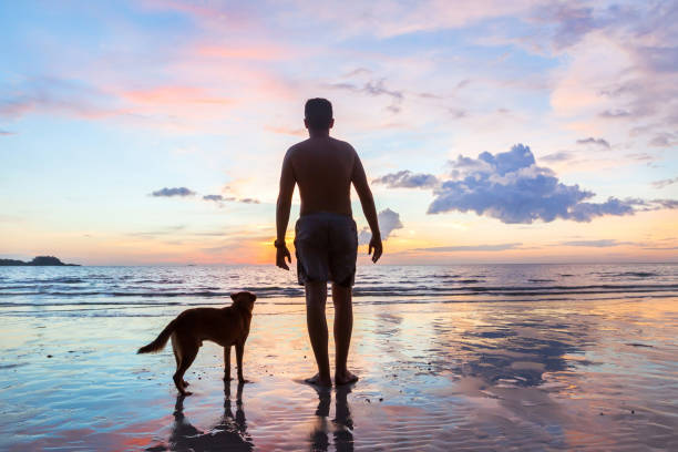 istock silhouette of man with dog on the beach 638917338