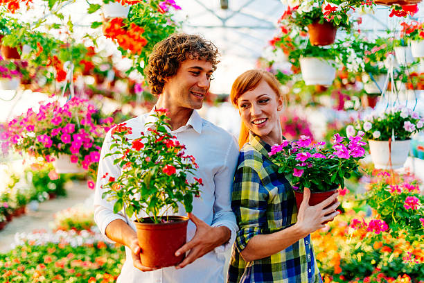 istock These flowers will fit great with our carpet 638918836