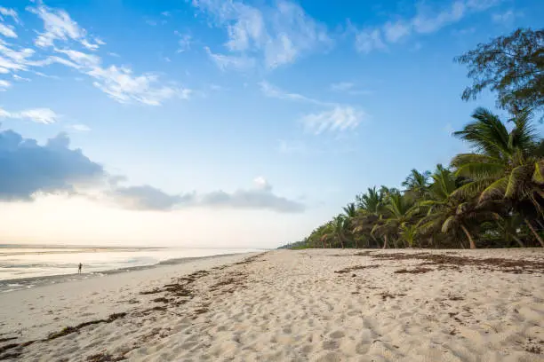 Paradise beach with white sand and palms, Kenya