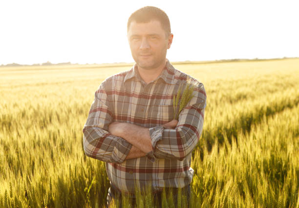 istock Farmer in a field examining crop. 638921176