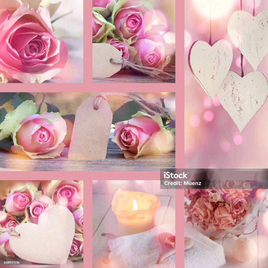 Collage for Valentines Day and Mothers Day Collage with pastel colored roses for Valentines Day and Mothers Day Billboard Stock Photo