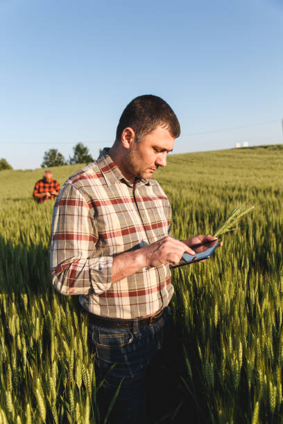 istock Farmer standing in a wheat field with tablet. 638923092