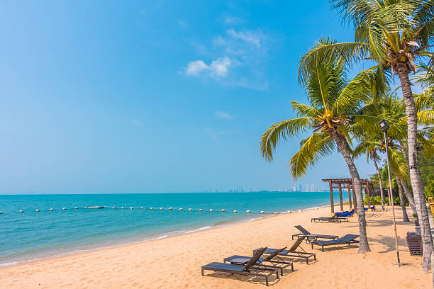 istock Beautiful beach and sea with palm tree 638923862
