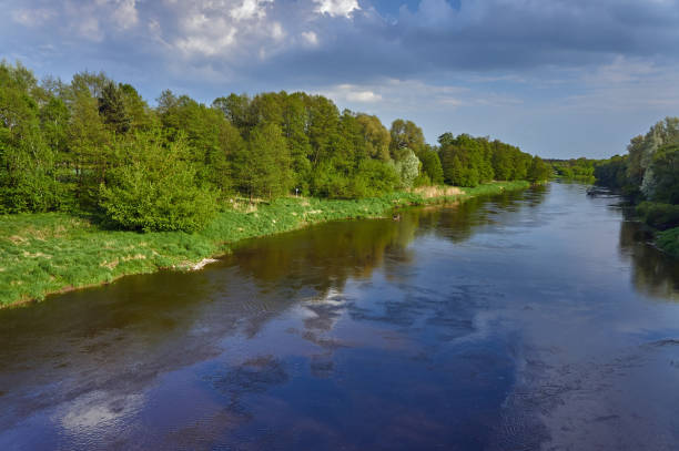 istock View of a forest and river 638923994