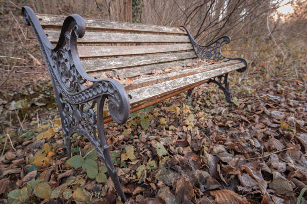 istock Bench in the Park in autumn. 638924498