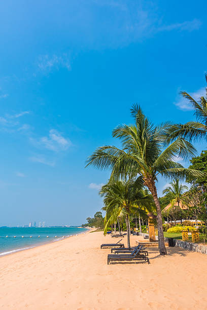 istock Beautiful beach and sea with palm tree 638924584