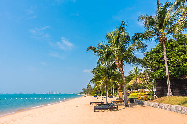 istock Beautiful beach and sea with palm tree 638924638