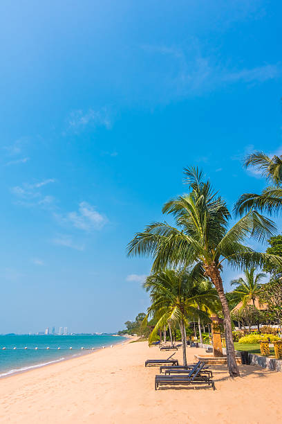 istock Beautiful beach and sea with palm tree 638924676