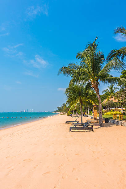 istock Beautiful beach and sea with palm tree 638924720