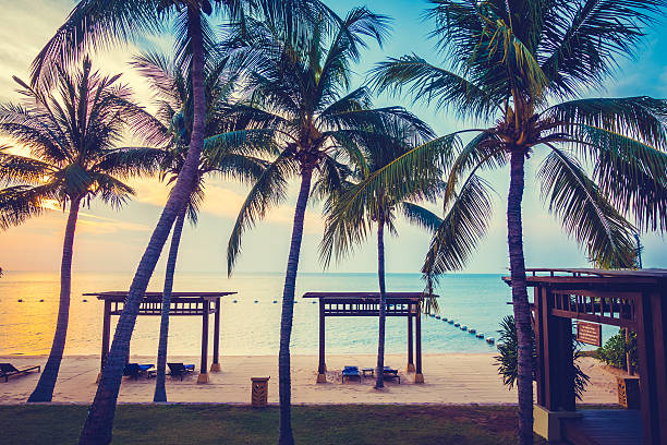 istock Beautiful beach and sea with palm tree 638929616
