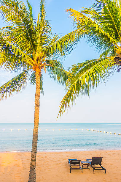istock Beautiful beach and sea with palm tree 638931644