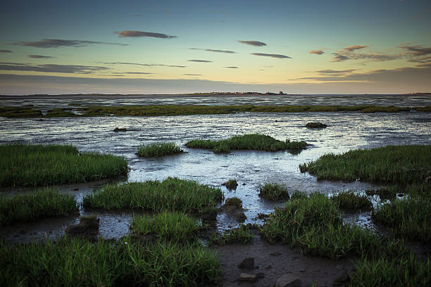 Holy Island View at Dusk View across the causeway separating the tidal island of Lindisfarne from the UK mainland. This island has a famous ruined abbey that played an important role in the history of Northeastern England. lindisfarne monastery stock pictures, royalty-free photos & images
