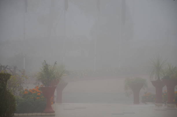 foggy atmosphare - atmosphare foto e immagini stock