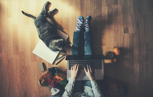 istock Creative space - Girl with her cat working from home. 638933550