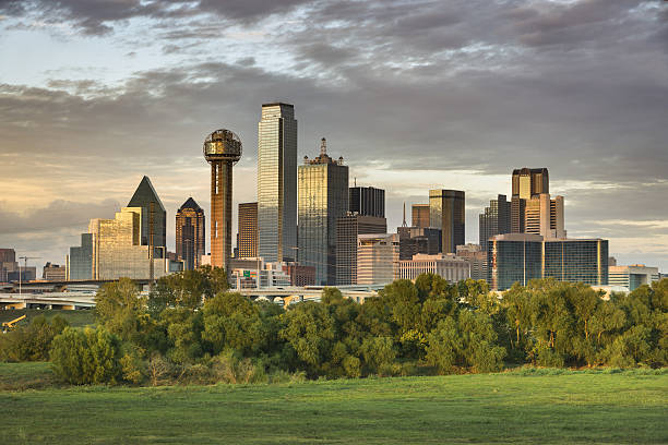 istock Dallas Texas Skyline and Reunion Tower 638935400