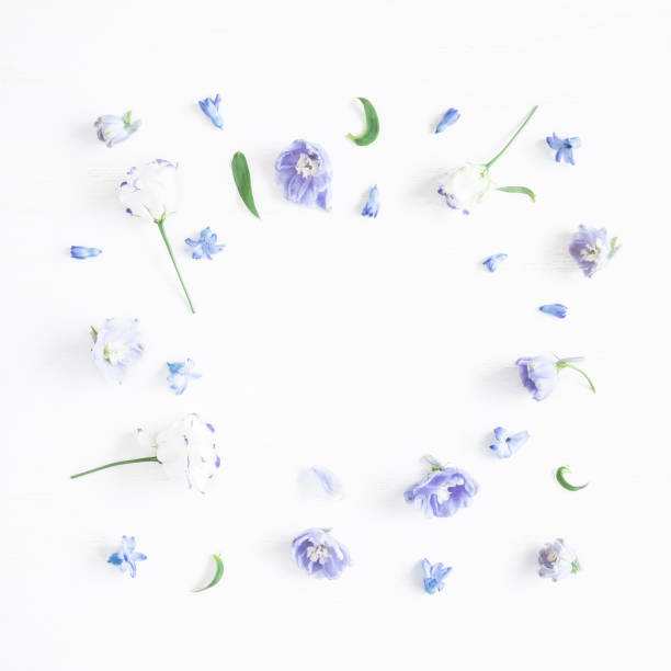 istock Frame made of lilac flowers. Flat lay, top view, square 638936764