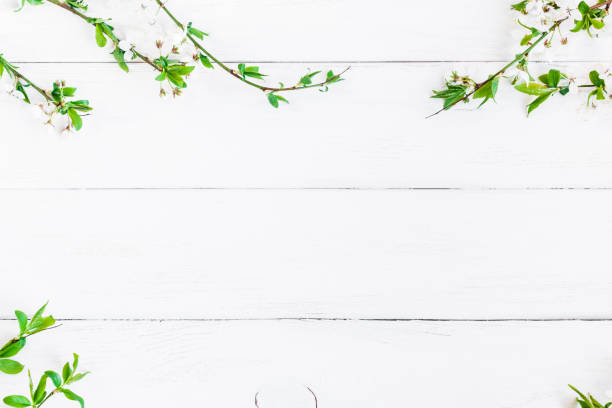 istock Apple flowers on white wooden background. Flat lay, top view 638942110