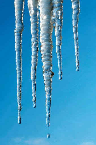 Close-up of melting icicles on a blue sky background. Space for copy.