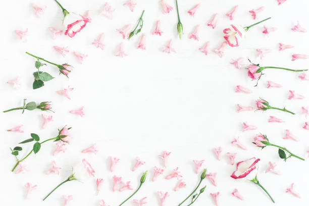 frame made of pink flowers. valentine's day. flat lay - rose rosé women valentines day imagens e fotografias de stock