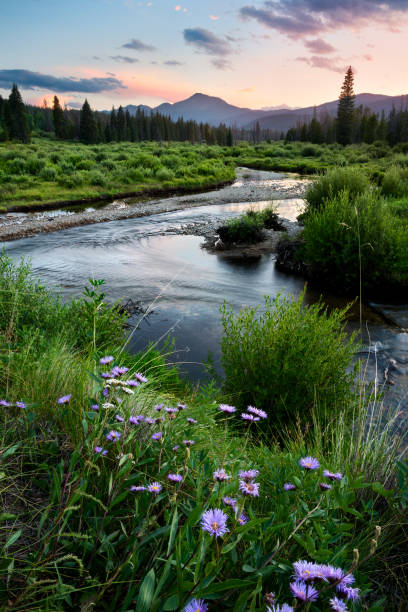 istock Byers Peak Wilderness Area at Sunset 638943954