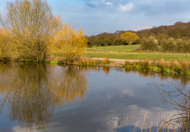 istock Lake and park in the spring. 638947214