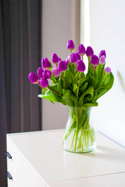 istock Fresh purple tulips in a bright room. 638947384