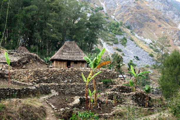 istock ASIA EAST TIMOR TIMOR LESTE MOUBISSE LANDSCAPE 638948378