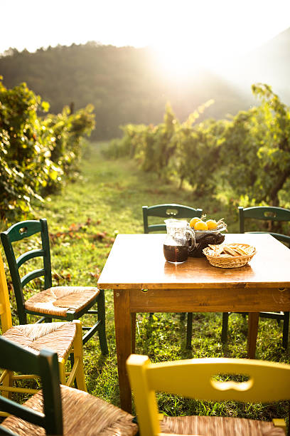 istock table in the vineyard with food 638948420