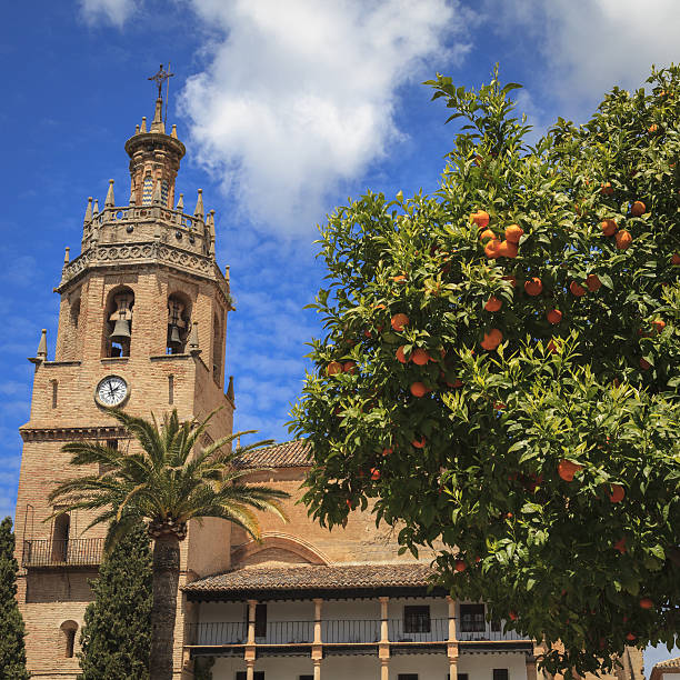 istock Orange tree in Ronda, Andalucia, Spain 638948458