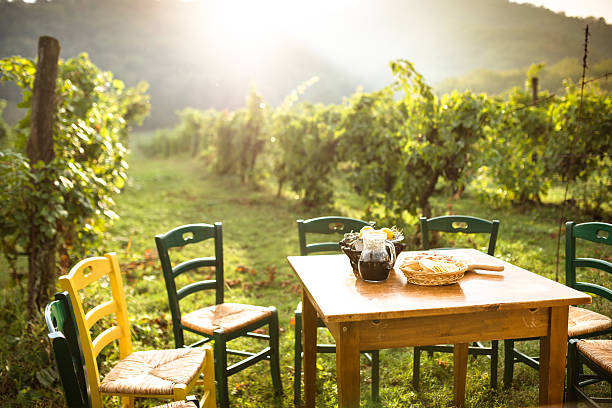 istock table in the vineyard with food 638948474