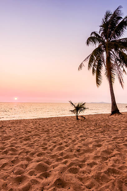 istock Beautiful beach and sea with palm tree 638949006