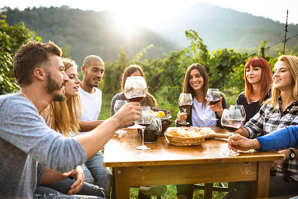istock friends toasting with red wine after the harvesting 638949112