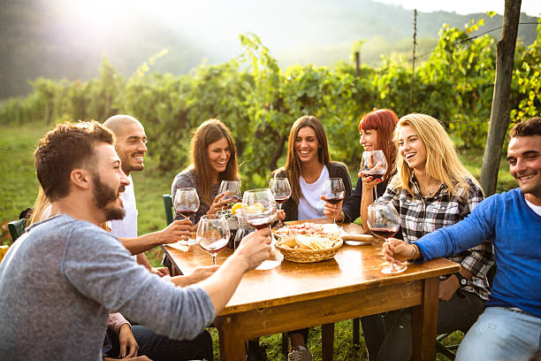 istock friends toasting with red wine after the harvesting 638949364