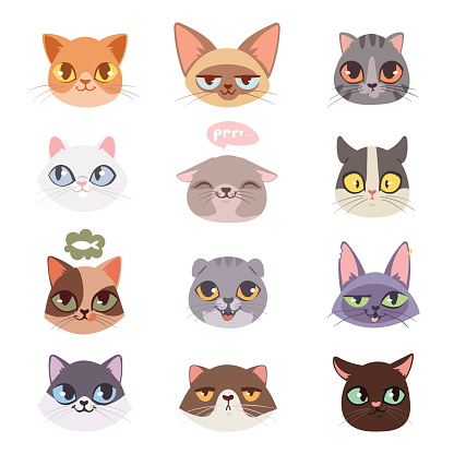 Cats heads vector illustration. Cute animal funny decorative characters. Color abstract feline domestic trendy pet drawn. Happy mammal fur adorable breed.