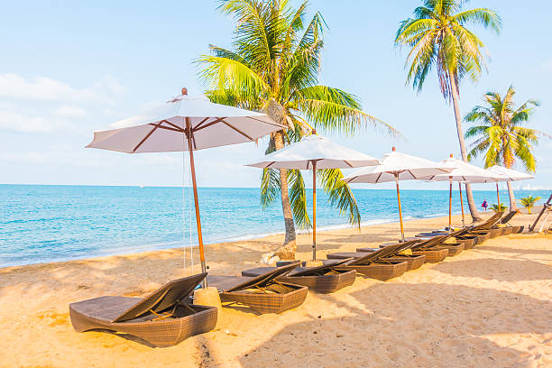 istock Parasol and chair on the beach 638952120
