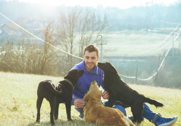 istock young man having a fun with dogs in the nature 638952780