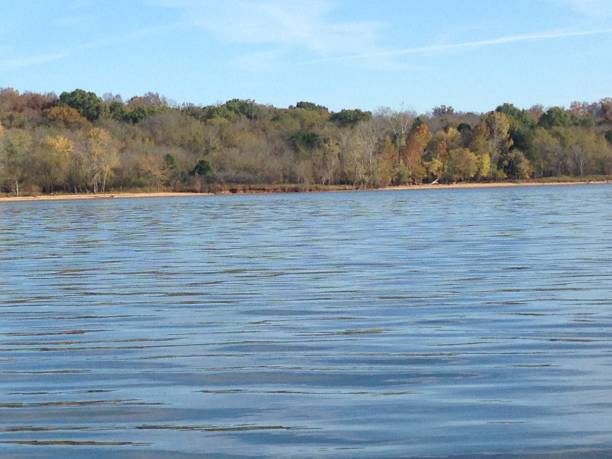 Treelined River in Tennessee