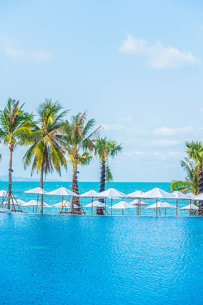 istock Parasol and chair around swimming pool 638953198