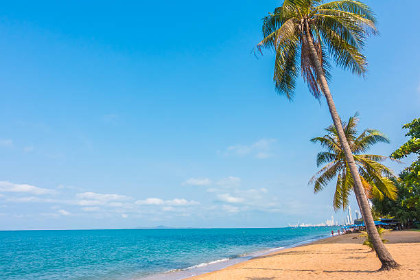 istock Beautiful beach and sea with palm tree 638954154