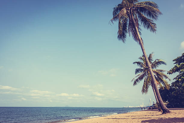 istock Beautiful beach and sea with palm tree 638954172
